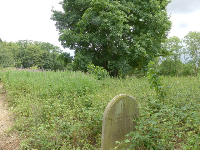 Conservation area in churchyard