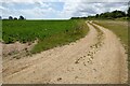TM3257 : Farmland track by Philip Halling