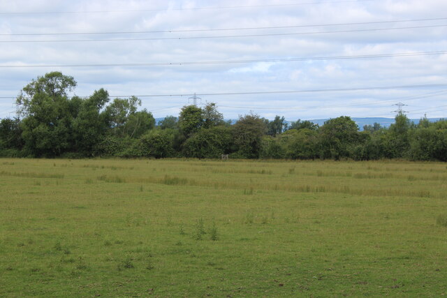 Pasture west of Broadstreet Common