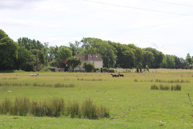 Pasture by Wainbridge