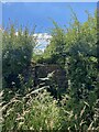 Overgrown stone stile