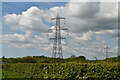 Pylon, Sand Hills Lane