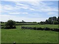 Fields near Corwar