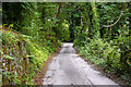 Road in Llandre