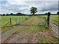 ST0301 : Metal Gate across a Farm Track by John P Reeves