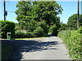 National Cycle Route 1 near Wildmarsh