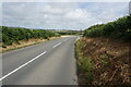 SZ5181 : Niton Road towards Rookley by Ian S
