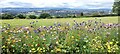 Christchurch Viewpoint, Newport