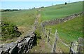 A narrow part of Denholme Footpath 62