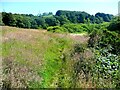 Denholme Footpath 49 passing Doe Park Reservoir