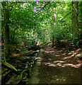 Path alongside Chellow Dene Beck, Bradford