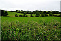 Edergole Lower Townland