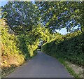 Hedge-lined road descending from Llangattock Lingoed, Monmouthshire