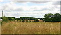 View east from Church Road, Lindsey