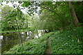 Following the Wear east of Wolsingham