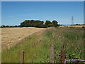 Fields next to Neilston