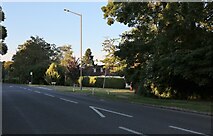 SU8385 : Henley Road, Marlow by David Howard