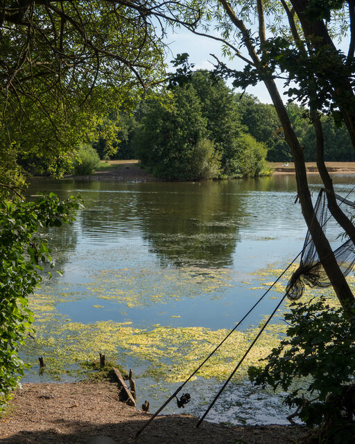 Angler's view, Belhus Woods Country Park