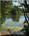 TQ5782 : Angler's view, Belhus Woods Country Park by Roger Jones
