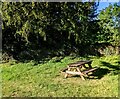 SO3620 : Picnic table, Llangattock Lingoed, Monmouthshire by Jaggery