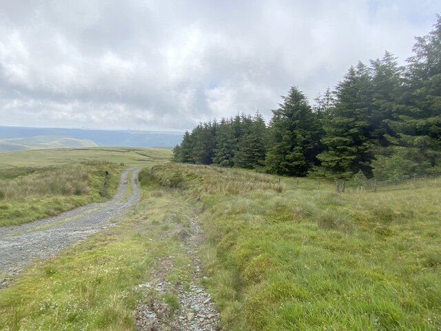 Moorland track adjacent to forestry plantation