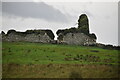 L9695 : Ruin near Burrishoole Abbey by N Chadwick
