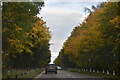 Autumn colours, Airport Rd