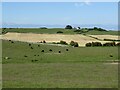 Farmland, Ersock