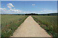 Path leading to Dodpits Lane