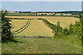 ST9604 : Farmland view northwest towards Abbeycroft Down by David Martin