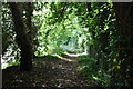 Footpath by Ivy Mill Lane