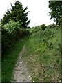 Well-worn path, Whitycombe Valley Park, Exwick