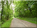 Bridleway Cheshunt 73 heads east