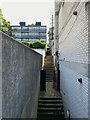 Steps seen from Hawke Road, Norwood