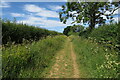 Bridleway towards Kingham