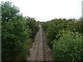 Freight railway line towards Isle of Grain