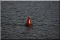 TR1786 : Knock John 4 port buoy, Thames Estuary by Mike Pennington