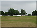 Cricket pitch, High Halstow