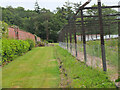 Walled garden and nursery, Philiphaugh Estate