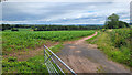 Monmouthshire maize field