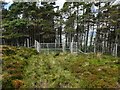 NN8045 : Gate at deer fence of Tullichuil Wood by Annabel Drysdale