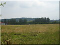 Grassland off Buckland Road