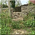 SO9003 : Gap in stone wall, Chalford GS9287 by Juliet Stewart