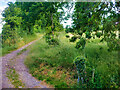 Footpath Crossing the Wensleydale Railway near Wood Hall Barn