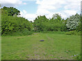 Footpath Cheshunt 49 approaches crossing of Theobalds Brook