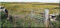 SD6093 : Field gateway on west side of road on west side of Firbank Fell by Roger Templeman