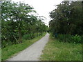 National Cycle Route 1 beside the Thames & Medway Canal