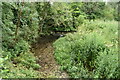 River Kennet at Manton