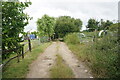 Path towards Alvington Road, Carisbrooke