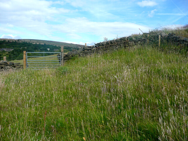 Gate on Colne Valley Footparg 7/3